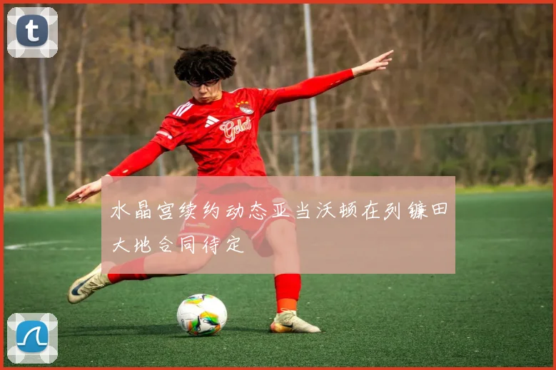 水晶宫续约动态亚当沃顿在列镰田大地合同待定