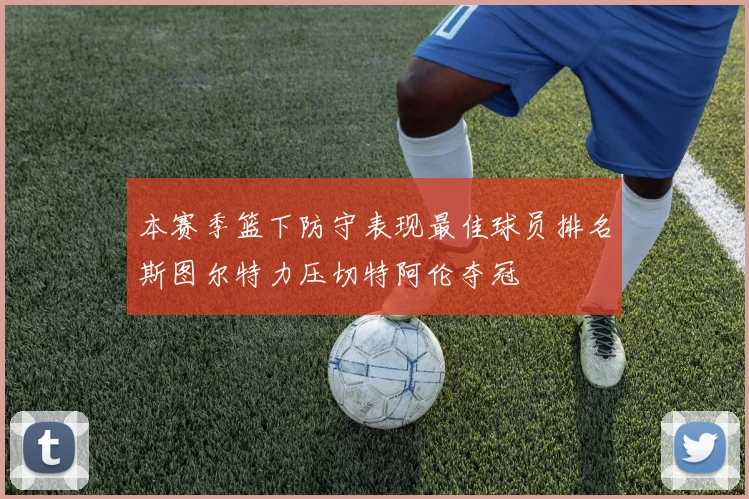 本赛季篮下防守表现最佳球员排名斯图尔特力压切特阿伦夺冠